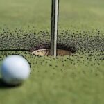 Domina el viento en el green: Consejos para jugar en campos de golf ventosos.