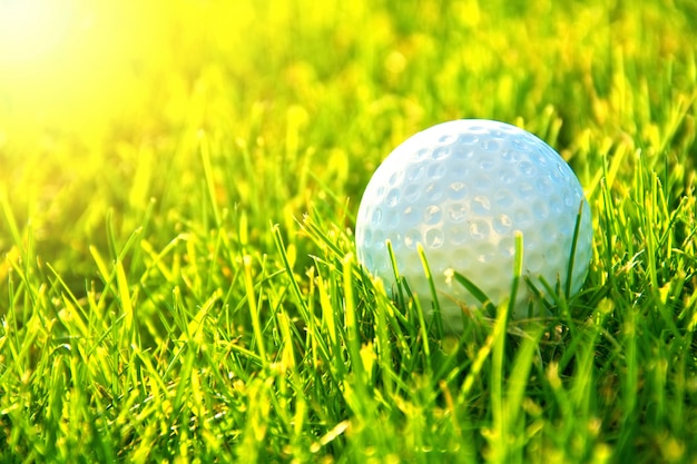 pelota de golf en macro con césped