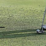 Descubre cuánto tiempo necesitas para jugar 18 hoyos de golf.