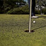 Aprende a dominar el green en el golf: Consejos para leerlo como un profesional